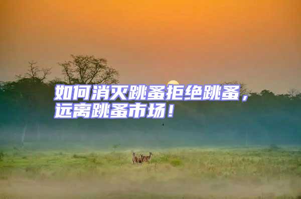 如何消滅跳蚤拒絕跳蚤，遠離跳蚤市場！