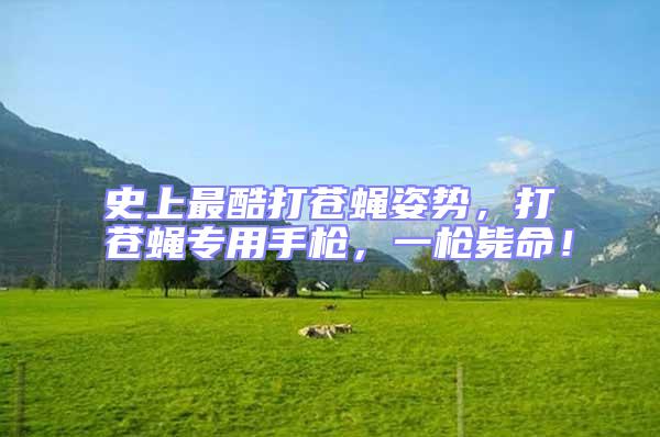 史上最酷打蒼蠅姿勢(shì)，打蒼蠅專用手槍，一槍斃命！