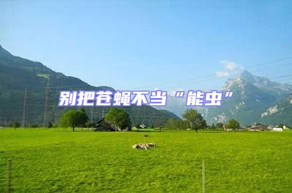 別把蒼蠅不當(dāng)“能蟲”