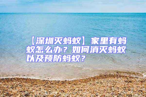 【深圳滅螞蟻】家里有螞蟻怎么辦？如何消滅螞蟻以及預(yù)防螞蟻？