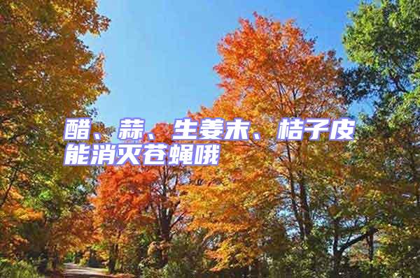 醋、蒜、生姜末、桔子皮能消滅蒼蠅哦