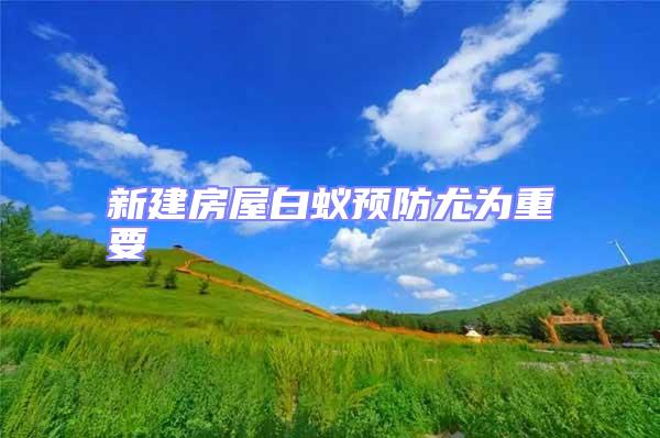 新建房屋白蟻預(yù)防尤為重要