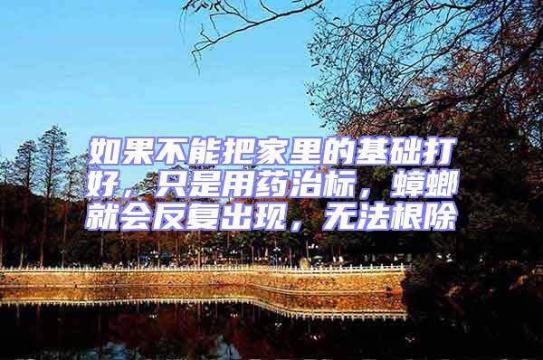 如果不能把家里的基礎(chǔ)打好，只是用藥治標，蟑螂就會反復(fù)出現(xiàn)，無法根除