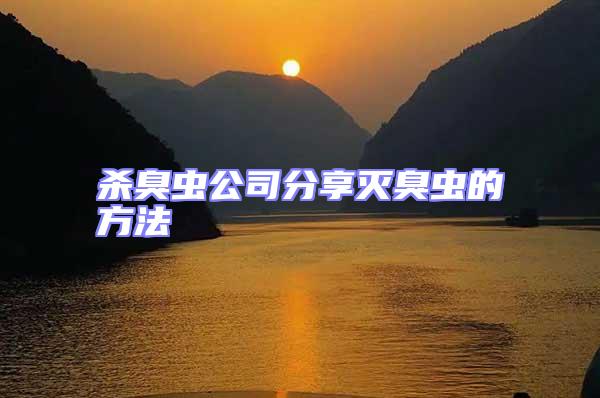 殺臭蟲(chóng)公司分享滅臭蟲(chóng)的方法