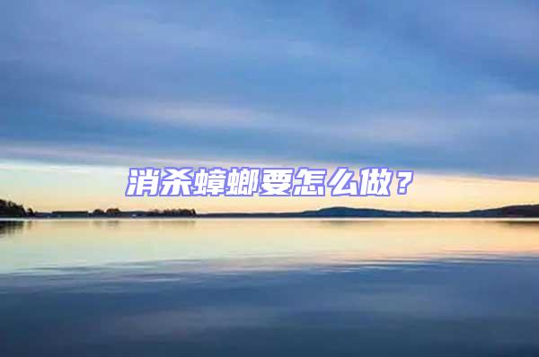 消殺蟑螂要怎么做？