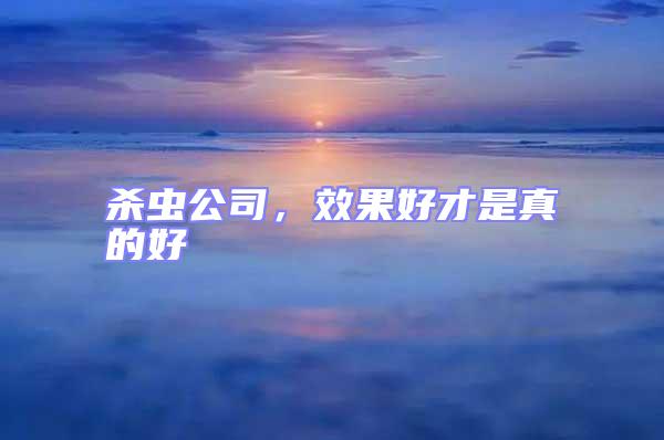 殺蟲公司，效果好才是真的好