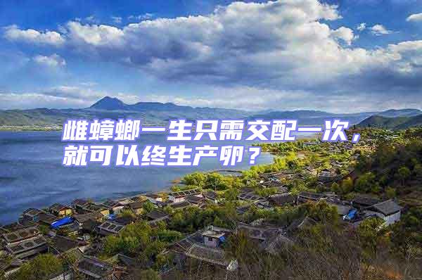 雌蟑螂一生只需交配一次，就可以終生產(chǎn)卵？