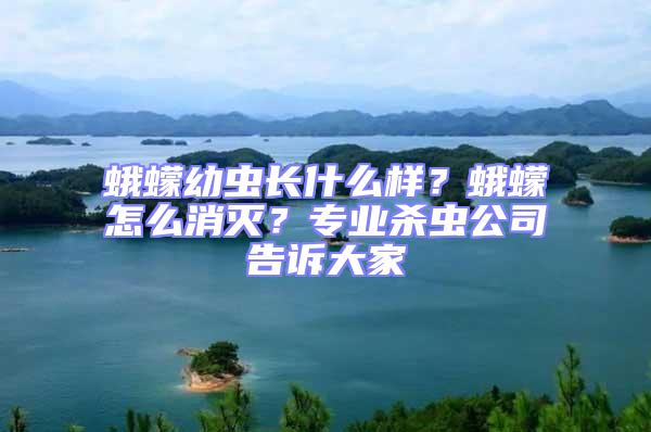 蛾蠓幼蟲長(zhǎng)什么樣？蛾蠓怎么消滅？專業(yè)殺蟲公司告訴大家