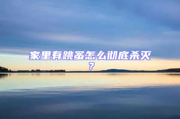 家里有跳蚤怎么徹底殺滅？