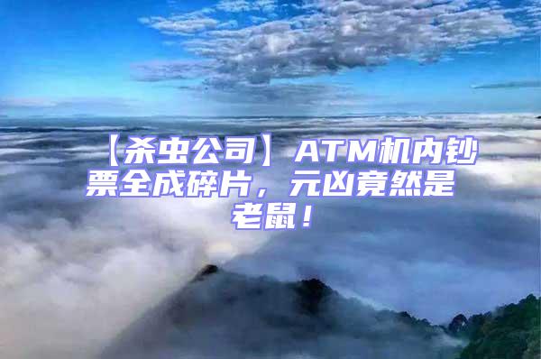 【殺蟲公司】ATM機(jī)內(nèi)鈔票全成碎片，元兇竟然是老鼠！