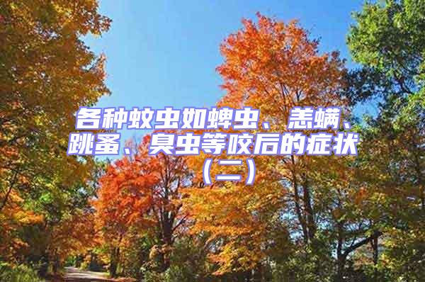 各種蚊蟲如蜱蟲、恙螨、跳蚤、臭蟲等咬后的癥狀（二）