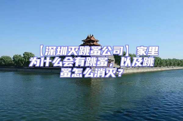 【深圳滅跳蚤公司】家里為什么會(huì)有跳蚤，以及跳蚤怎么消滅？