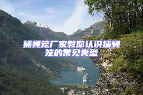 捕蠅籠廠家教你認(rèn)識(shí)捕蠅籠的常見類型