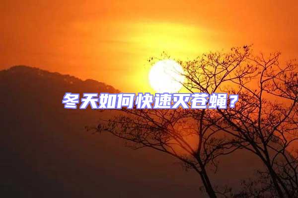 冬天如何快速滅蒼蠅？