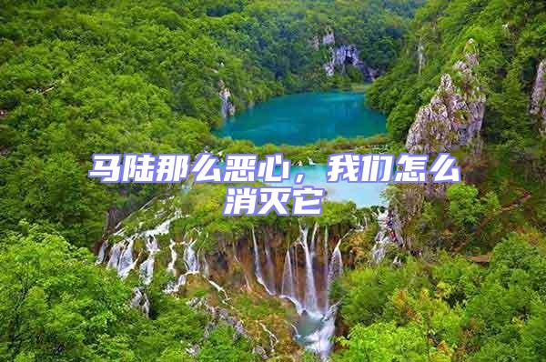 馬陸那么惡心，我們?cè)趺聪麥缢?/></p>
									<p>　　馬陸喜好昏暗濕潤。滅四害公司積極消滅成蠅。通常采用的方法有化學(xué)藥物滅蠅和器械捕殺兩種方法。化學(xué)藥物滅蠅是快速、大面積消滅成蠅最為有效的方法。滅四害蒼蠅對(duì)我們?nèi)祟惖奈：κ牵骸吧n蠅身上帶著無數(shù)的細(xì)菌、病毒，可傳播的疾病多達(dá)幾十種。其中常見的有：痢疾、甲型肝炎、急性胃腸炎、食物中毒、砂眼、小兒麻痹、蛔蟲、霍亂等。個(gè)別生活在草坪土表、土塊、方塊下面，或枯枝落葉堆、瓦礫、石堆下，或土縫內(nèi)，白天埋伏，夜間活動(dòng)迫害。馬陸受到觸碰時(shí)，會(huì)將身材卷曲成圓環(huán)形，呈;假逝世狀況；間隔一段時(shí)光后，還原活動(dòng)。馬陸個(gè)別迫害動(dòng)物的幼根及幼嫩的小苗跟嫩莖、嫩葉。馬陸的卵產(chǎn)于草坪土表，卵成堆產(chǎn)，卵外有一層透明粘性物質(zhì)，每頭可產(chǎn)卵300粒左右。在適合溫度下，卵經(jīng)20天左右孵化為幼體，數(shù)月后成熟。馬陸1年滋生1次，壽命可達(dá)1年以上。馬陸個(gè)別在春末夏初跟夏末秋初，溫度個(gè)別20-30&deg;C。</p>
<p style=