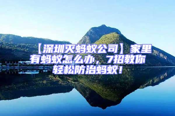 【深圳滅螞蟻公司】家里有螞蟻怎么辦，7招教你輕松防治螞蟻！