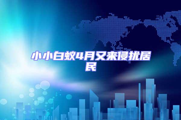 小小白蟻4月又來侵擾居民