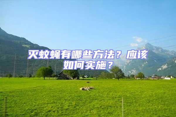 滅蚊蠅有哪些方法？應(yīng)該如何實(shí)施？