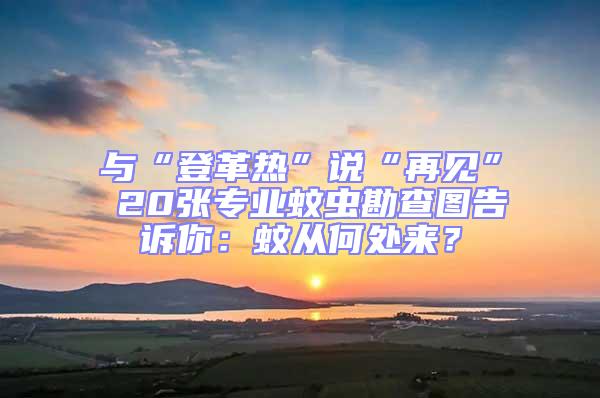 與“登革熱”說“再見” 20張專業(yè)蚊蟲勘查圖告訴你：蚊從何處來？