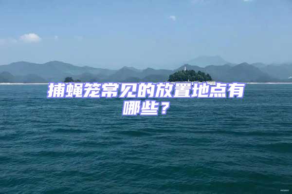 捕蠅籠常見的放置地點有哪些？