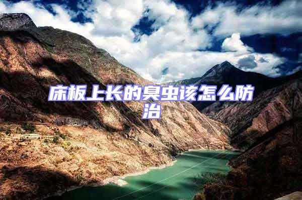 床板上長(zhǎng)的臭蟲(chóng)該怎么防治