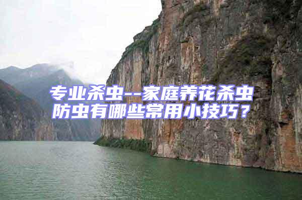 專業(yè)殺蟲(chóng)--家庭養(yǎng)花殺蟲(chóng)防蟲(chóng)有哪些常用小技巧？