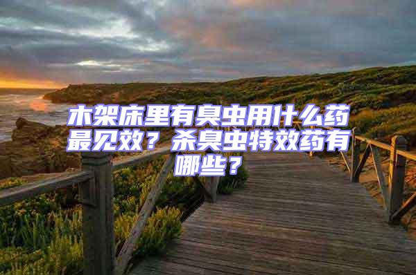 木架床里有臭蟲用什么藥最見效？殺臭蟲特效藥有哪些？