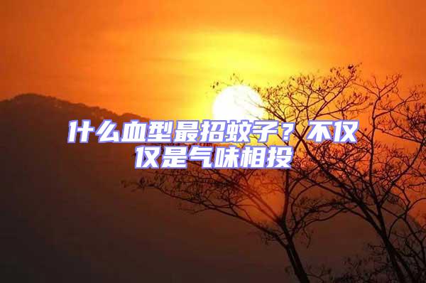 什么血型最招蚊子？不僅僅是氣味相投