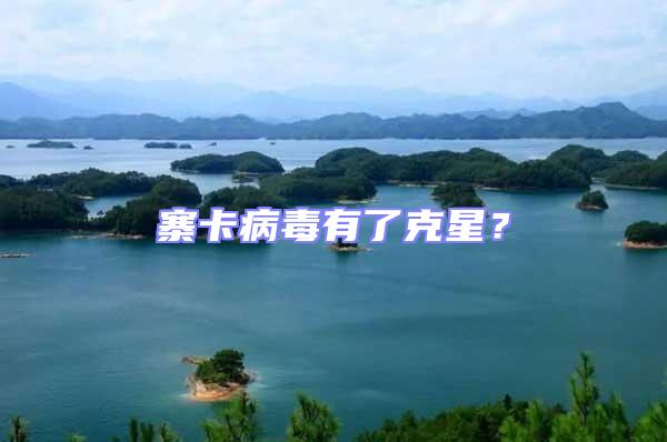 寨卡病毒有了克星?