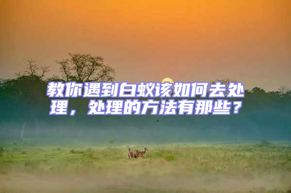 教你遇到白蟻該如何去處理，處理的方法有那些？