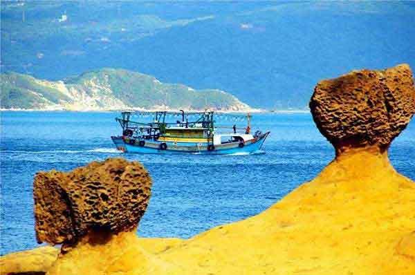 殺蟲(chóng)公司詳談臭蟲(chóng)