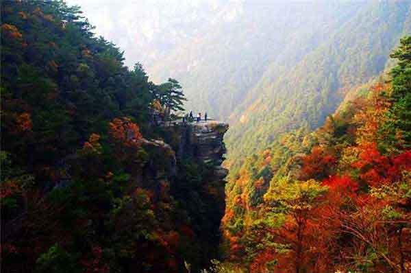 各種蚊蟲如蜱蟲、恙螨、跳蚤、臭蟲等咬后的癥狀（三）