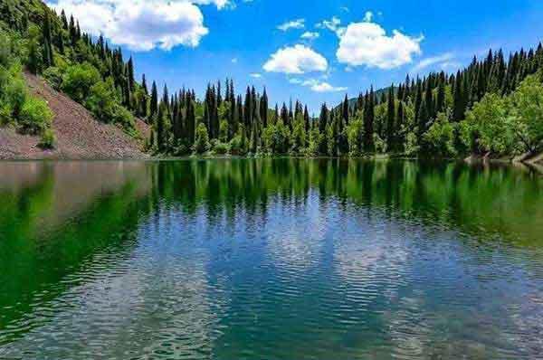 諸暨一白蟻巢里，蟻后竟有拇指大