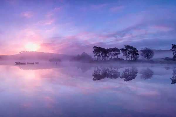 蚊類的化學(xué)防治方法是什么？