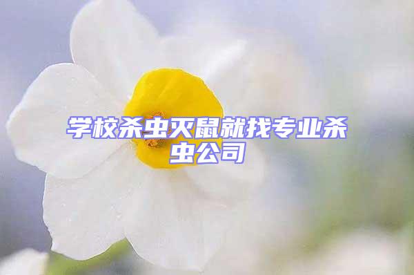 學(xué)校殺蟲滅鼠就找專業(yè)殺蟲公司