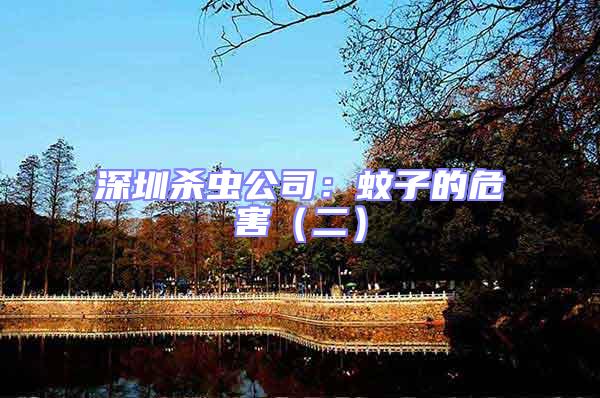 深圳殺蟲(chóng)公司：蚊子的危害（二）