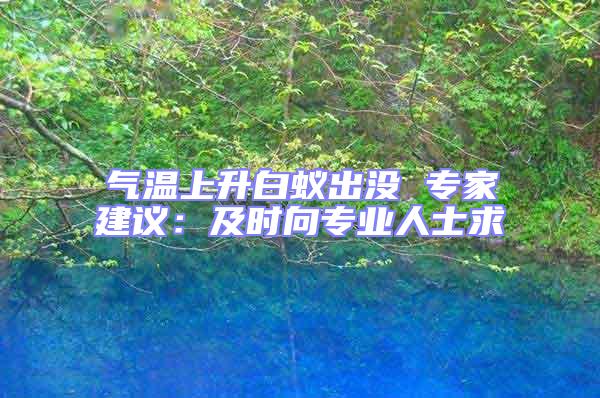 氣溫上升白蟻出沒 專家建議：及時向專業(yè)人士求
