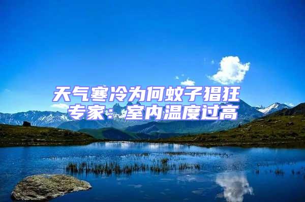 天氣寒冷為何蚊子猖狂 專家：室內(nèi)溫度過(guò)高