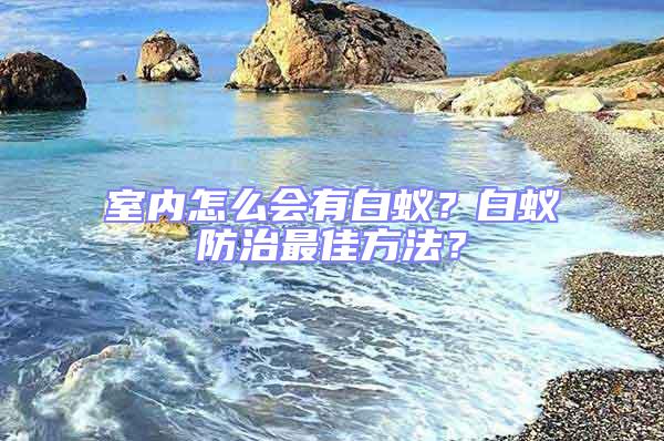 室內(nèi)怎么會(huì)有白蟻？白蟻防治最佳方法？
