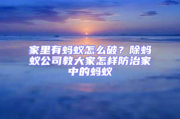 家里有螞蟻怎么破？除螞蟻公司教大家怎樣防治家中的螞蟻