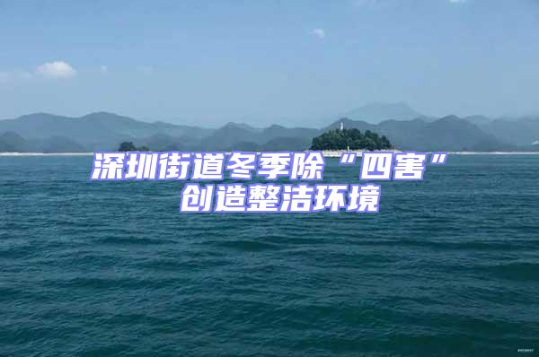 深圳街道冬季除“四害” 創(chuàng)造整潔環(huán)境