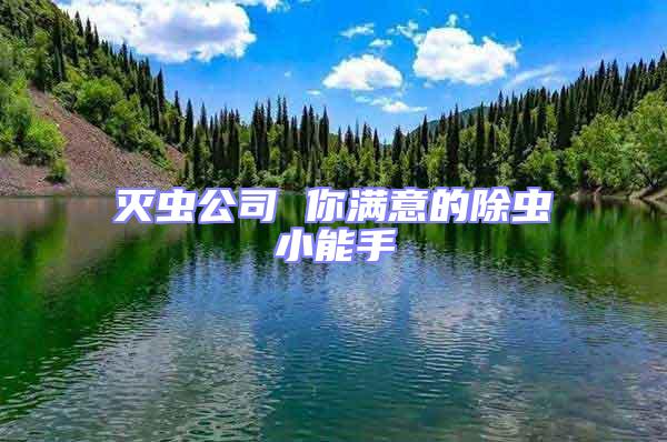 滅蟲(chóng)公司 你滿意的除蟲(chóng)小能手