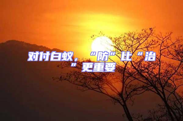 對付白蟻，“防”比“治”更重要