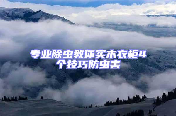 專業(yè)除蟲教你實木衣柜4個技巧防蟲害