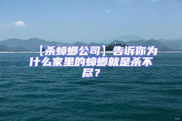 【殺蟑螂公司】告訴你為什么家里的蟑螂就是殺不盡？