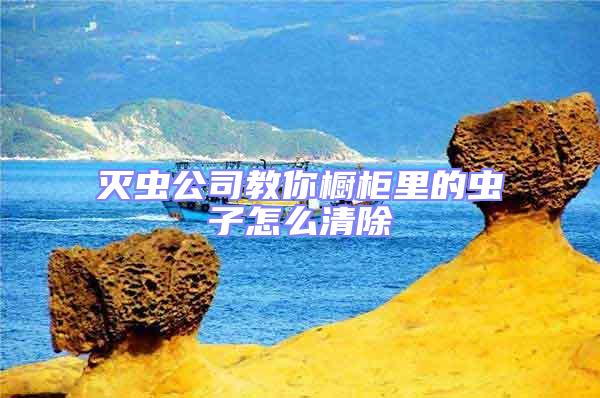 滅蟲公司教你櫥柜里的蟲子怎么清除