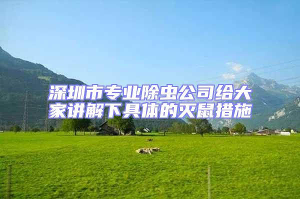 深圳市專(zhuān)業(yè)除蟲(chóng)公司給大家講解下具體的滅鼠措施