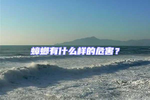 蟑螂有什么樣的危害？