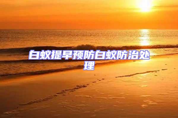 白蟻提早預(yù)防白蟻防治處理