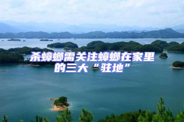 殺蟑螂需關(guān)注蟑螂在家里的三大“駐地”